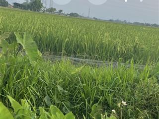 Bán đất tại đường 419, tiên phương, chương mỹ, hà nội, 3,8 tỷ, 100m2 giá ưu đãi