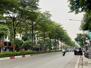 Cho thuê nhà mặt phố kim mã kinh doanh cực đỉnh dòng tiền ngay