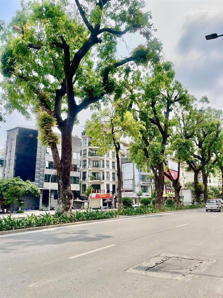 Giảm chào cơ hội sở hữu nhà lõi ba đình kim mã 50m 5 tầng ô tô đỗ cửa 2 mặt ngõ 3