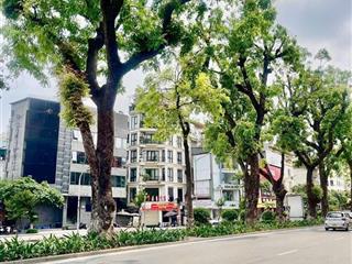 Giảm chào cơ hội sở hữu nhà lõi ba đình kim mã 50m 5 tầng ô tô đỗ cửa 2 mặt ngõ 3