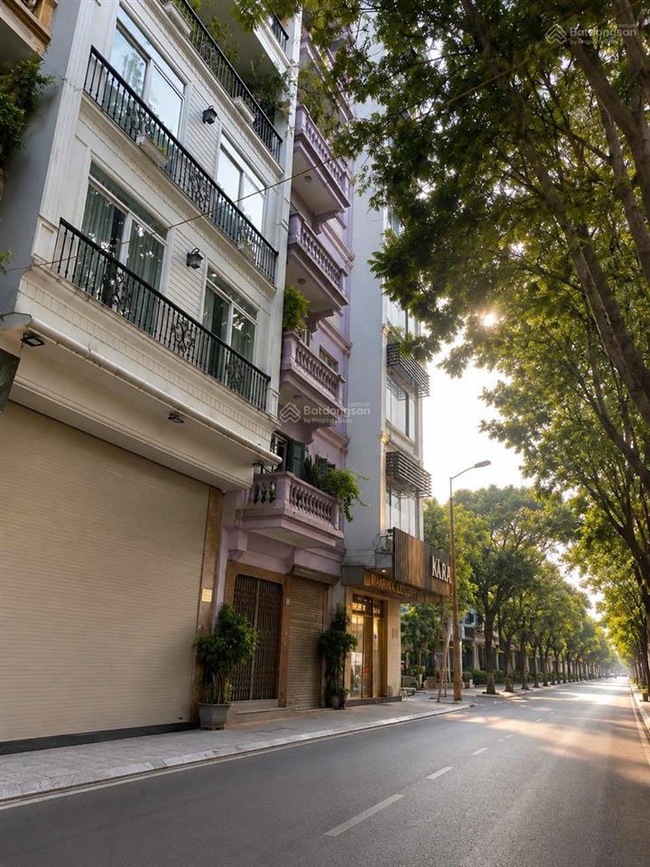 Siêu phẩm trúc bạch 10 tầng thang máy + hầm kinh doanh đỉnh cao dòng tiền 80100tr/tháng