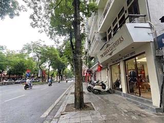 Lô góc mặt phố ba đình view lăng bác vỉa hè rộng kinh doanh đỉnh