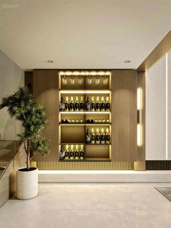 Đình phân lô vip ô tô tránh ô chờ thang máy 60m x 6 tầng chỉ 29 tỷ nhà đẹp sát phố