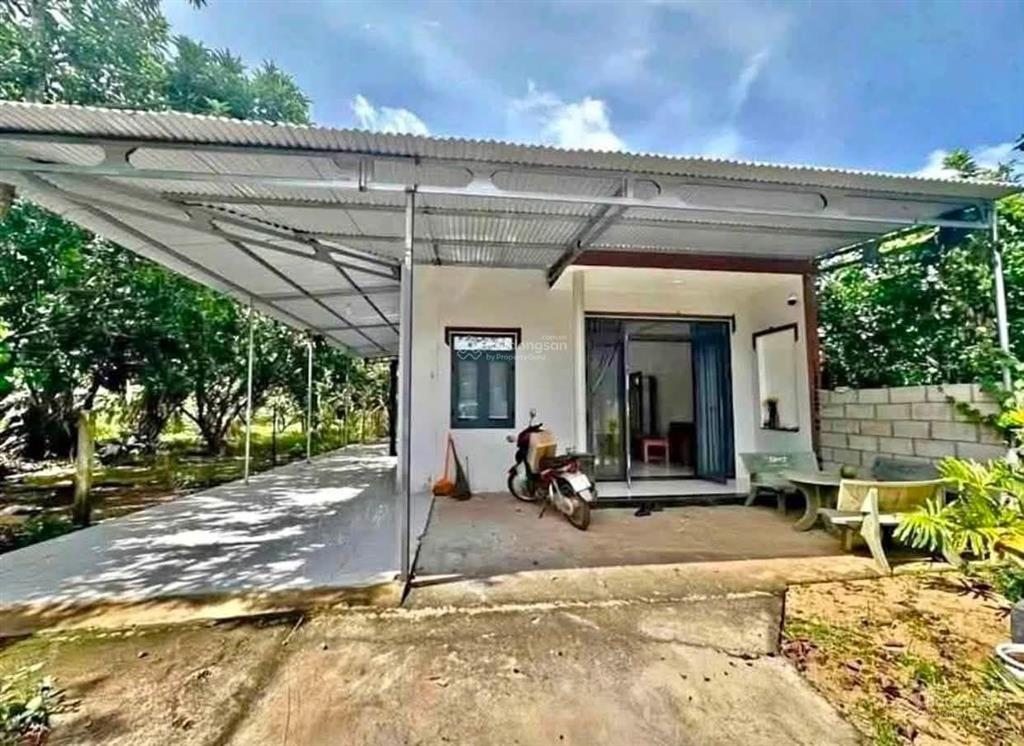 Chủ mắc nợ cần bán gấp mảnh vườn có sẵn cây ăn trái trừ văn thố 528m2. trên vườn có sẵn nhà cấp 4
