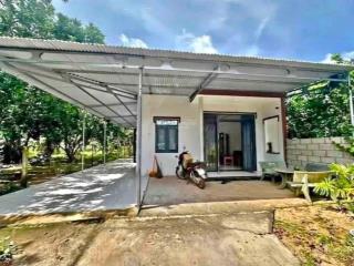 Chủ mắc nợ cần bán gấp mảnh vườn có sẵn cây ăn trái trừ văn thố 528m2. trên vườn có sẵn nhà cấp 4