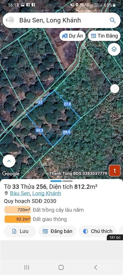 Gần 1 sào sầu riêng, đất đỏ, sầu riêng đang cho thu hoạch giá trị cao.