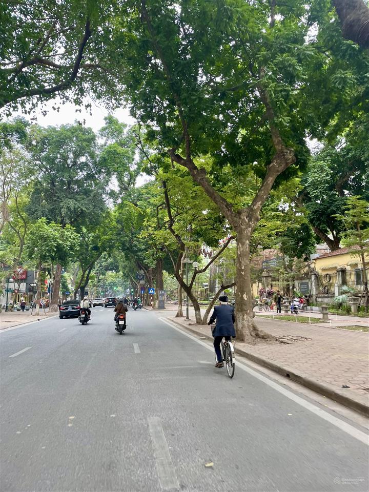 Có 102lõi ba đình phố phan đình phùng sổ đỏ chính chủmặt ngõ rộng , nông thông thoáng