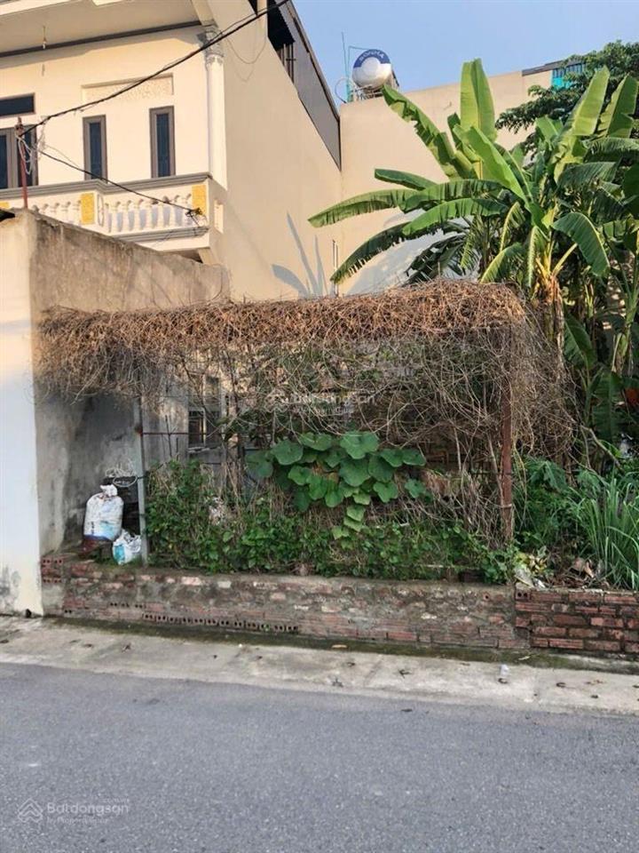 Bán đất nguyên khê, phúc thịnh, đông anh 105m2 full thổ cư đường nhựa ô tô chỉ 5,45 tỷ