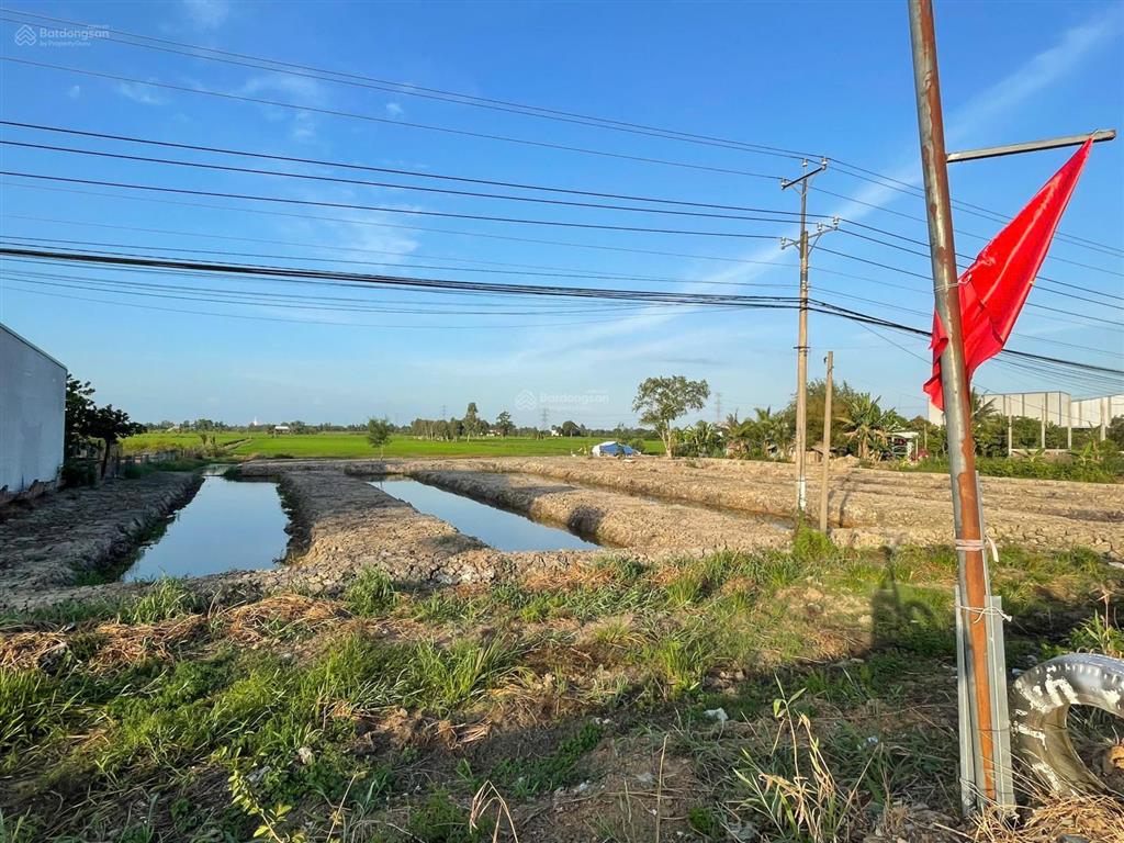 Cần bán đất nền thạnh hoá long an, giá 56 tỷ, diện tích 12391m2, mặt tiền 64m ql62, đường lớn 30m