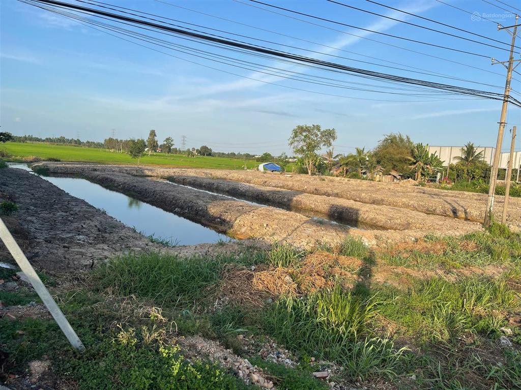 Cần bán đất nền thạnh hoá long an, giá 56 tỷ, diện tích 12391m2, mặt tiền 64m ql62, đường lớn 30m