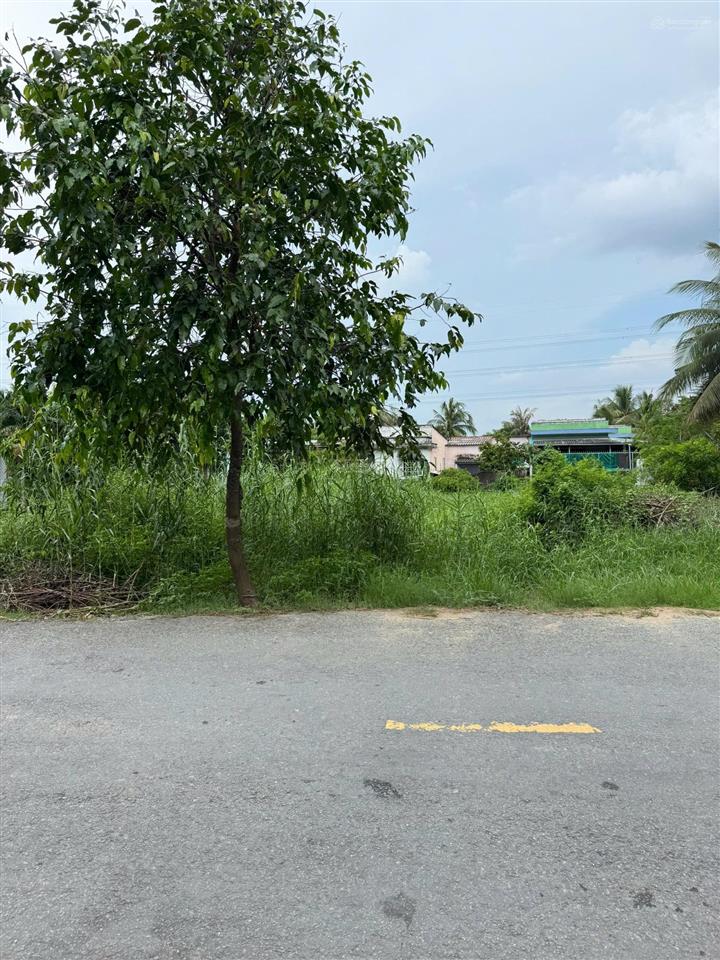 Cần bán đất giá 1,85 tỷ, đường nguyễn huỳnh đức, khánh hậu, long an, 175m2, shr, đường nhựa 10m