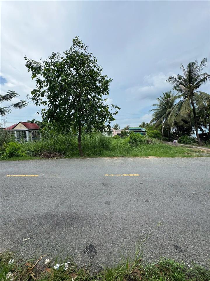 Cần bán đất giá 1,85 tỷ, đường nguyễn huỳnh đức, khánh hậu, long an, 175m2, shr, đường nhựa 10m