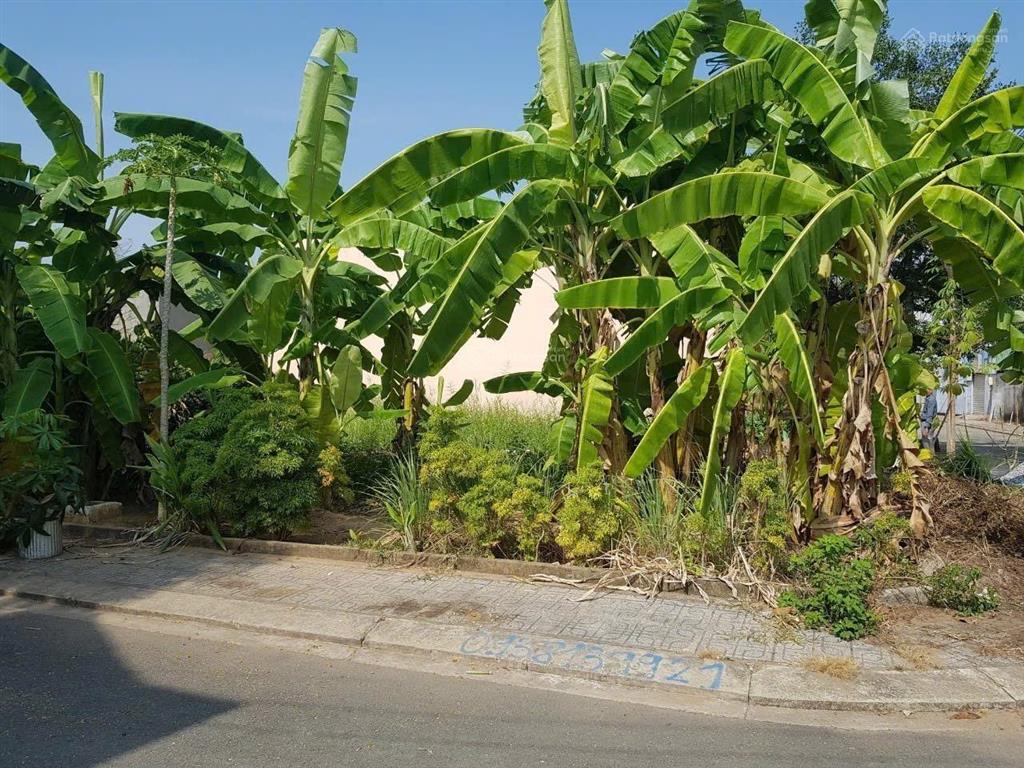 Đất 92m (6.4x14.5) kdc tín hưng , long trường , thủ đức (4ty490)