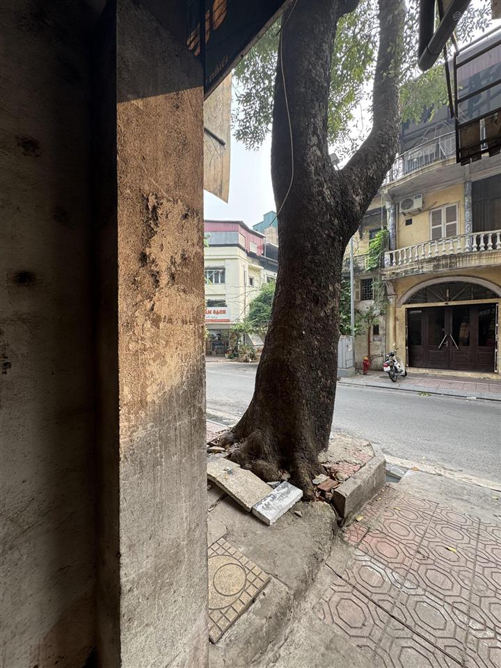 Chính chủ cho thuê nhà mặt phố số 41 yên phụ