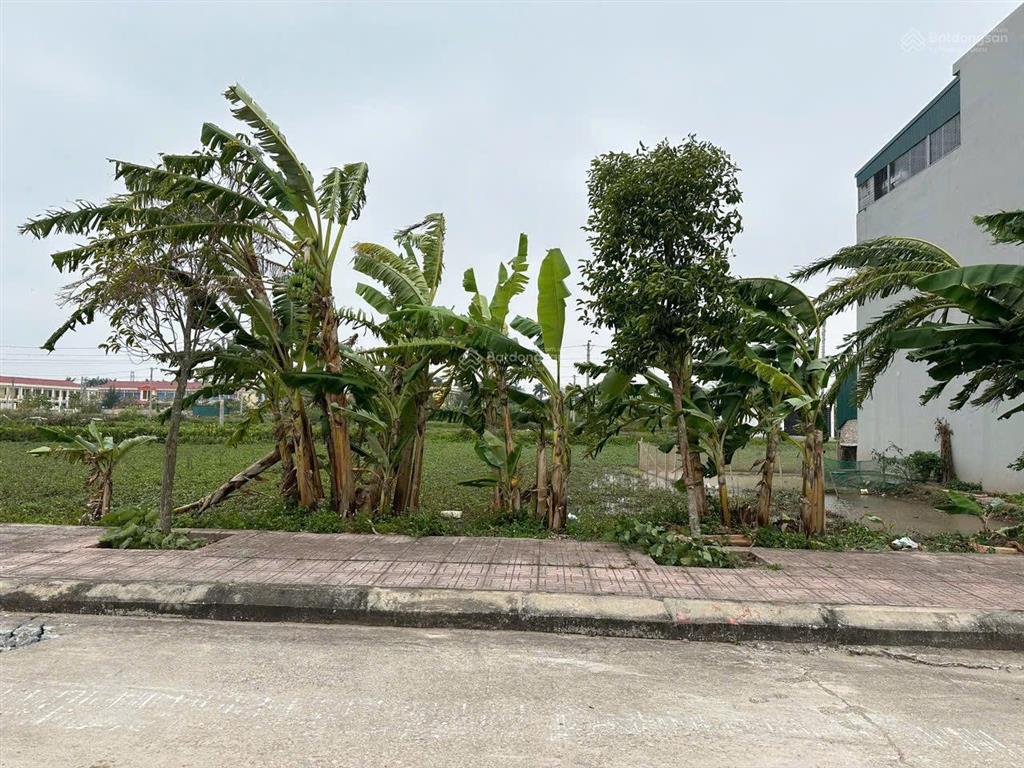 Bán đất chính chủ kđt vũ lăng tiền hải