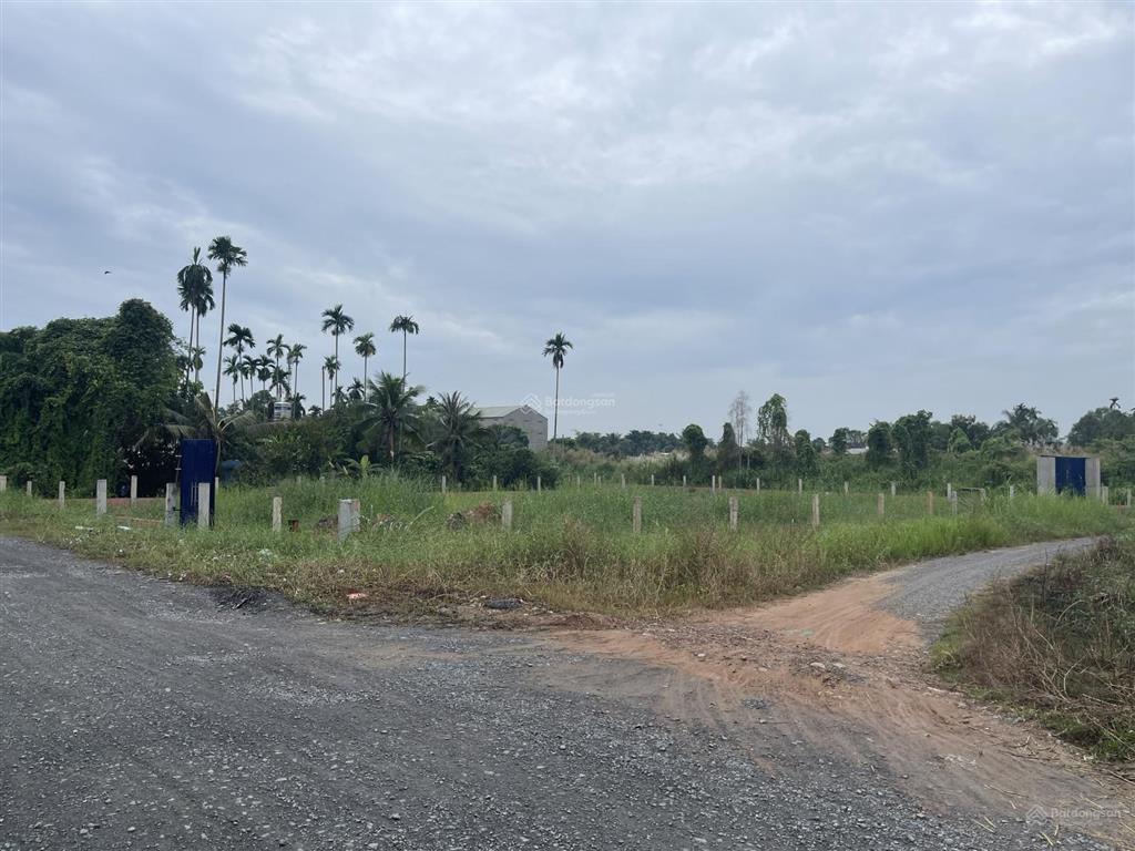 Cho thuê đất 2500m² mặt tiền đường bình mỹ, củ chi, tp. hcm | thuê lâu dài | giá thỏa thuận