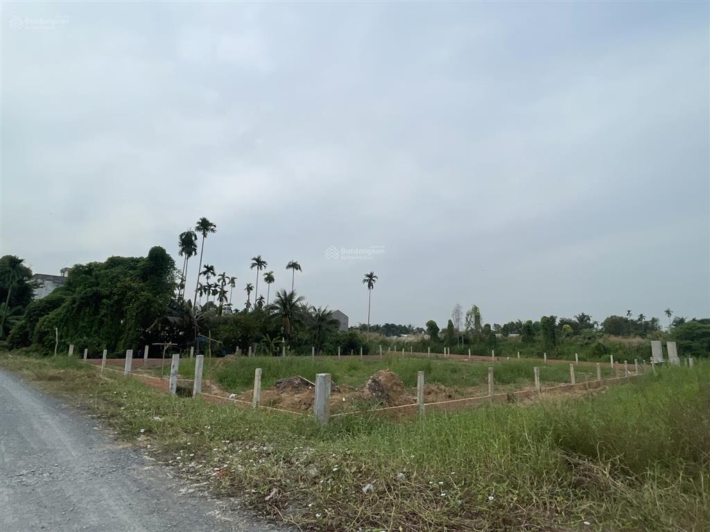 Cho thuê đất 2500m² mặt tiền đường bình mỹ, củ chi, tp. hcm | thuê lâu dài | giá thỏa thuận