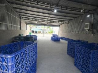Cho thuê kho trần thị liền , nhà bè