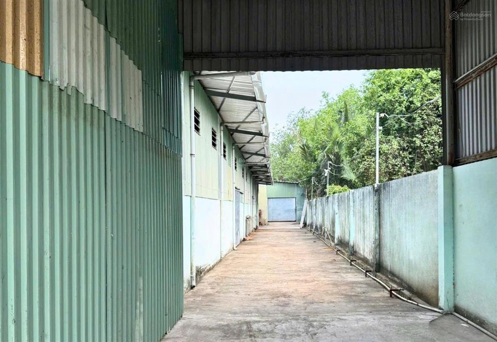 Cho thuê kho đào sư tích, nhà bè 1.000m² chia nhỏ linh hoạt