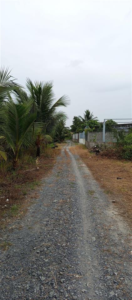 Bán đất nền tại đường 38, xã tân lý đông, huyện châu thành, tiền giang, 1,6 tỷ, 720m2