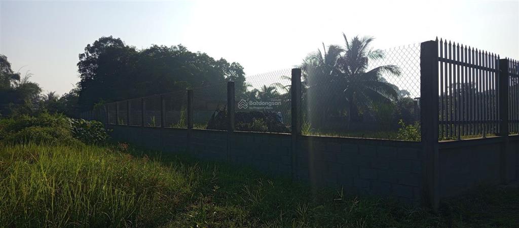 Bán đất nền tại đường 38, xã tân lý đông, huyện châu thành, tiền giang, 1,6 tỷ, 720m2