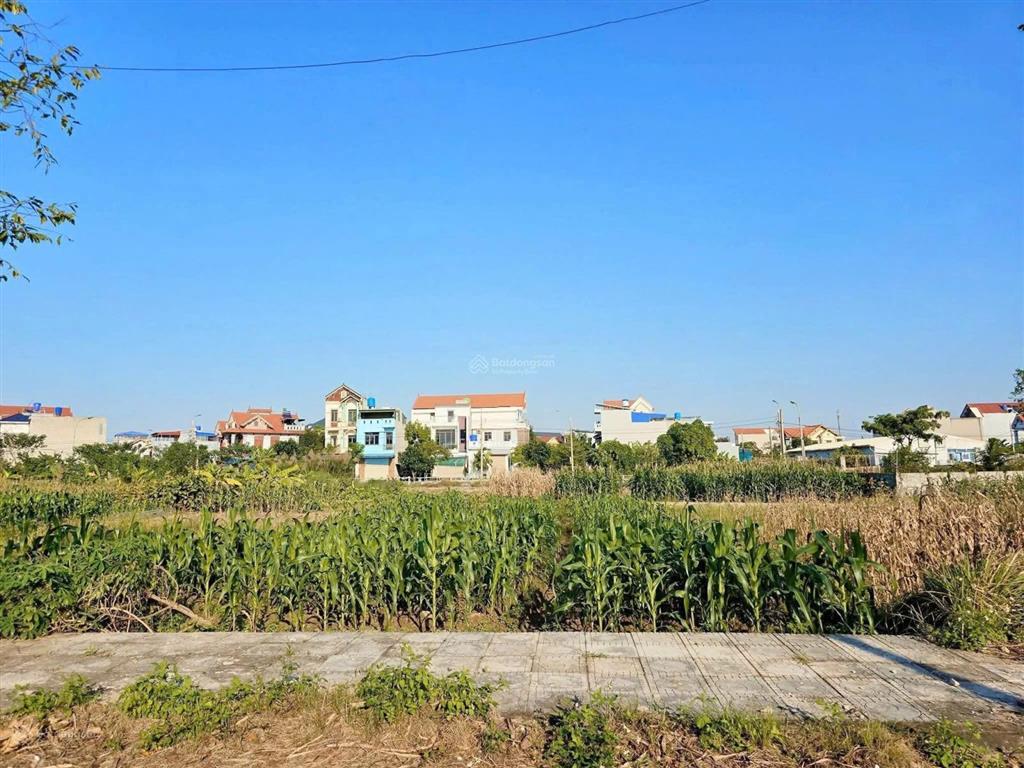 Chính chủ cần bán khu 379 hưng hà