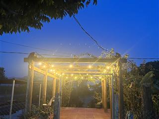 Bán đất làm farm có 100% thổ cư