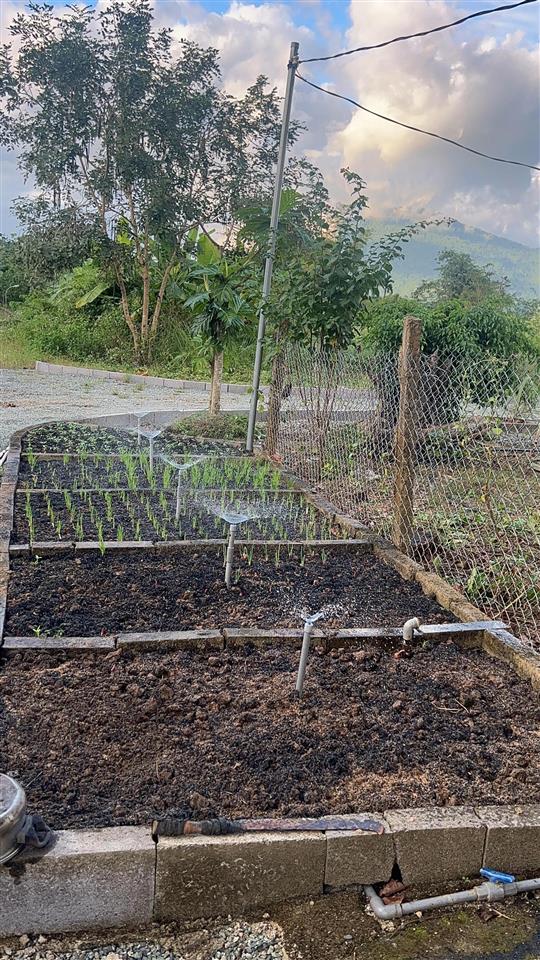 Bán đất làm farm có 100% thổ cư