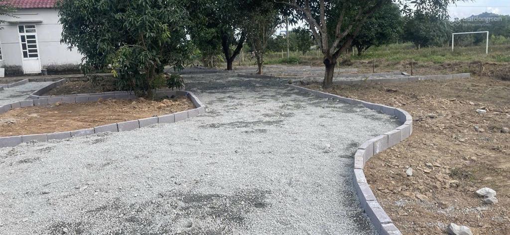 Bán đất làm farm có 100% thổ cư