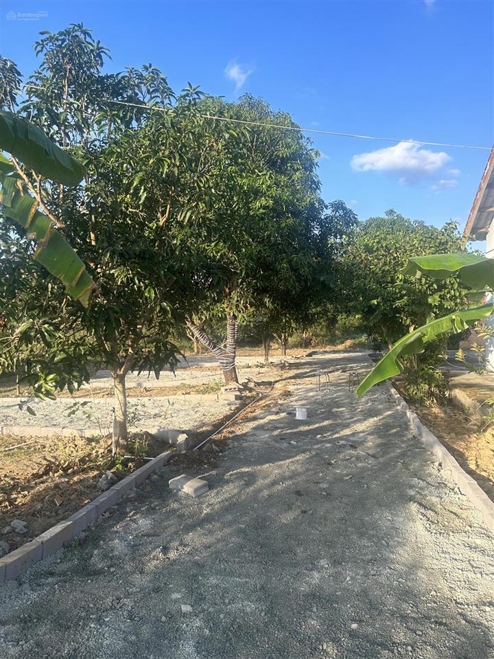 Bán đất làm farm có 100% thổ cư