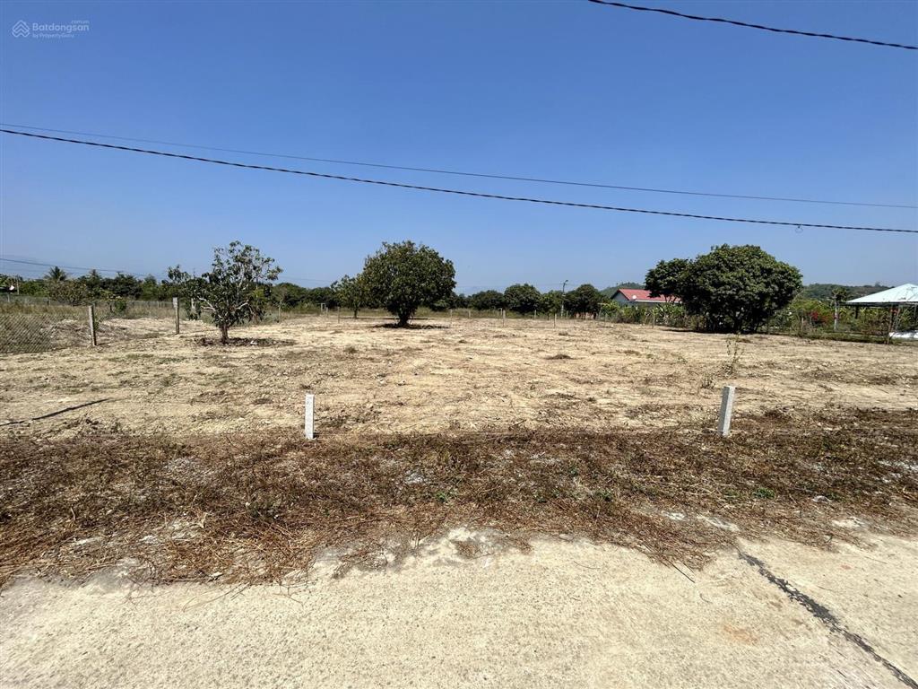 Hàng hot! chủ cần bán nhanh 1.000m2 đất full thổ cư giá 2,5 tỷ