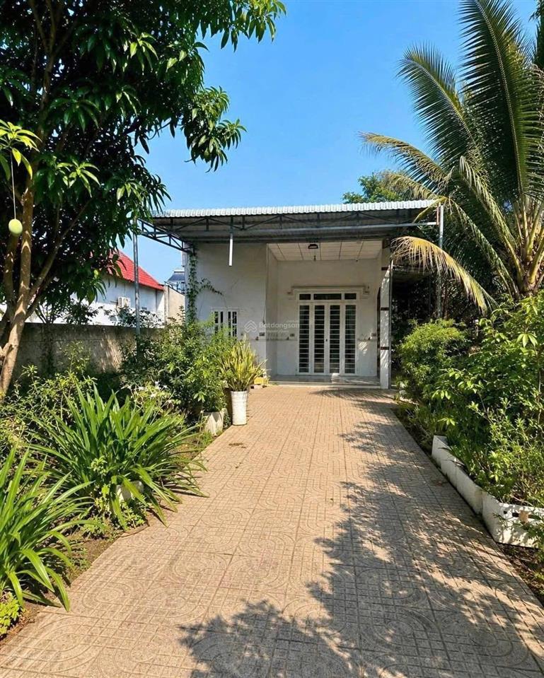 Đất vườn 500m2 có sẵn nhà cấp 4 ở trừ văn thố bàu bàng  shr. gần chợ trừ văn thố