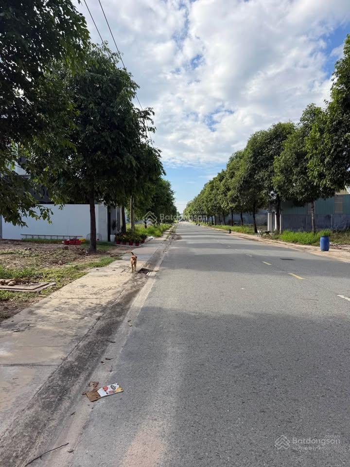 Đầu tư lô đất 150m2 ngay kcn becamex bàu bàng, phù hợp đầu tư xây trọ. shr