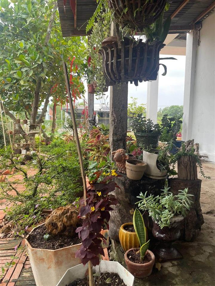 Bán lô đất vườn 500m2 sẵn nhà cấp 4, gần chợ trừ văn thố, thích hợp đầu tư kinh doanh cho thuê