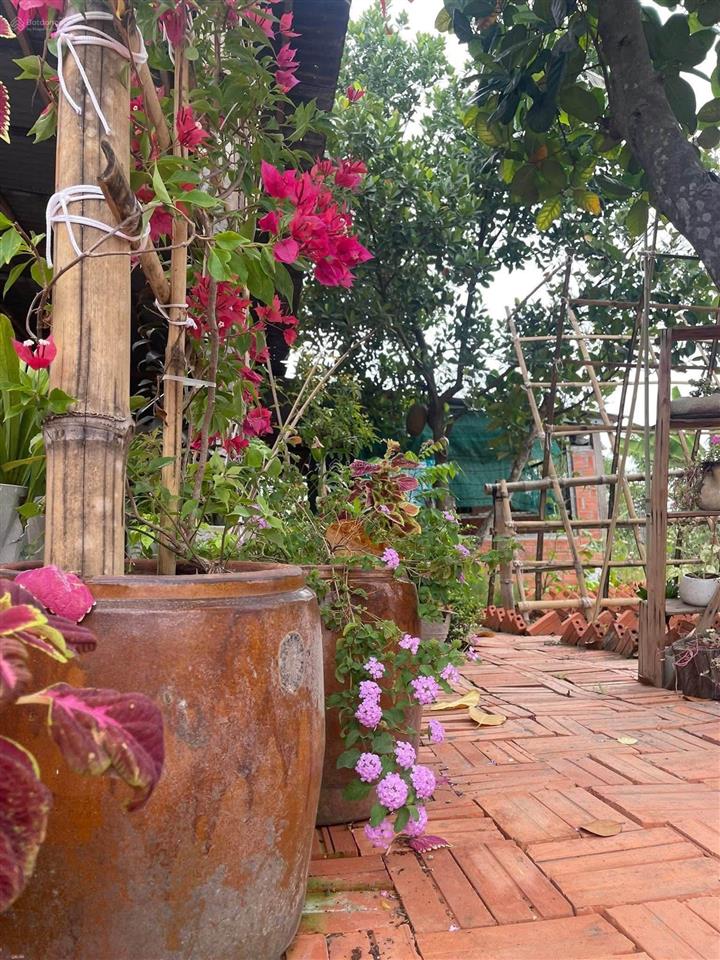 Bán lô đất vườn 500m2 sẵn nhà cấp 4, gần chợ trừ văn thố, thích hợp đầu tư kinh doanh cho thuê