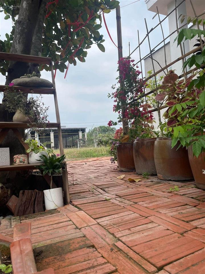 Bán lô đất vườn 500m2 sẵn nhà cấp 4, gần chợ trừ văn thố, thích hợp đầu tư kinh doanh cho thuê