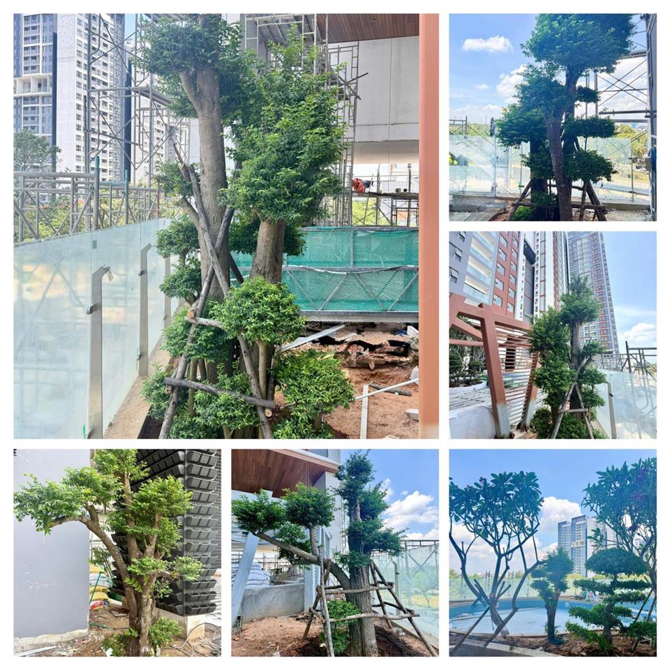 Bán căn hộ 3pn essensia sky, ht nội thất có bếp, giá 8,9 tỷ full.  0767 506 ***