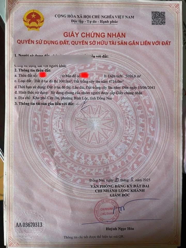 Không còn sức khoẻ để làm vườn cần bán lại lô đất 2 mặt tiền trên đất có 300m2 thổ cư, giá 1tỷ/sào