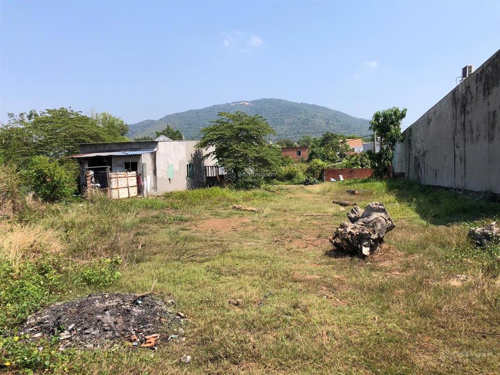 Bán 654.1m2 đất phủ hồng phường xuân lộc mặt tiền đường view núi khu dân cư đông, giá 1.980 tỷ