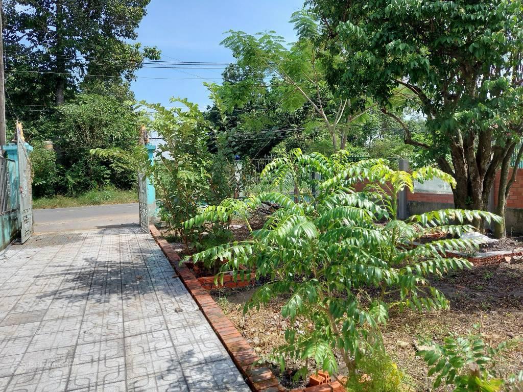 Bán nhà 715m2 , đường sông lu, xã hoà phú , củ chi , dt 11x65m ,