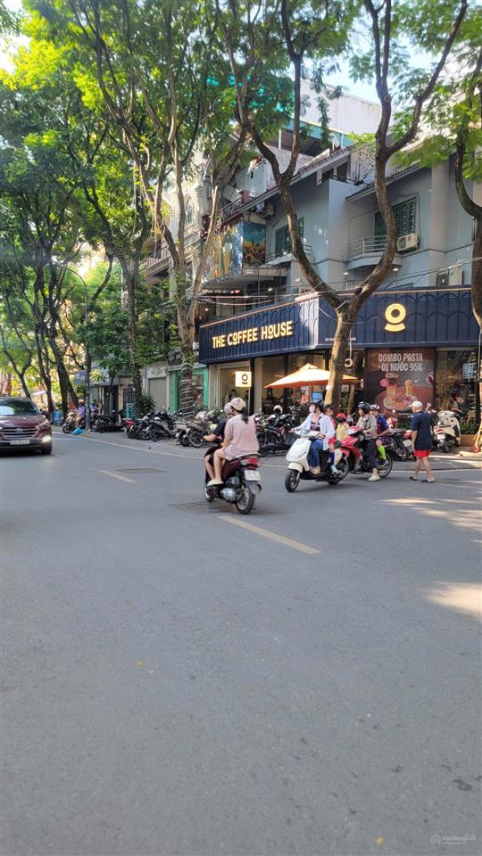 Siêu siêu víp nhà mặt phố trần nguyên đán kinh doanh sầm uất dt 90m, 5 tầng, mt 5m giá 47 tỷ