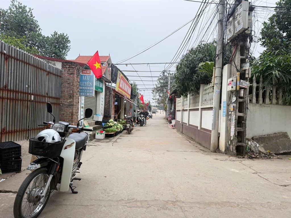 Chính chủ cần thanh khoản lô đất 100% thổ cư đê tả sông hồng, hoàng kim, yên lãng, hà nội