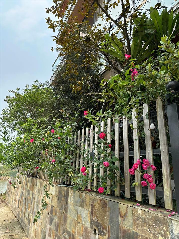 Bán đất nghỉ dưỡng lưng tựa núi mặt hướng thủy tại trung tâm nghỉ dưỡng yên bài, gần ngay metro