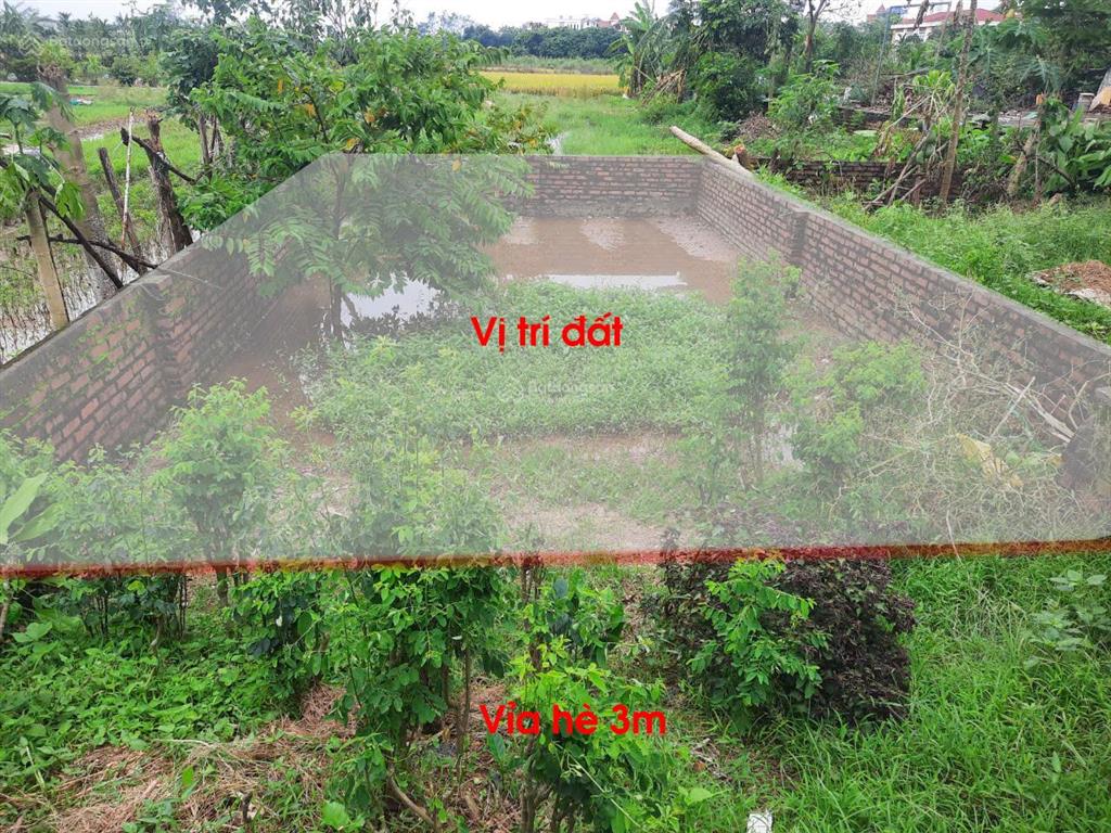 Bán gấp lô đất đẹp đường phú mỹ  biên giang, hà đông
