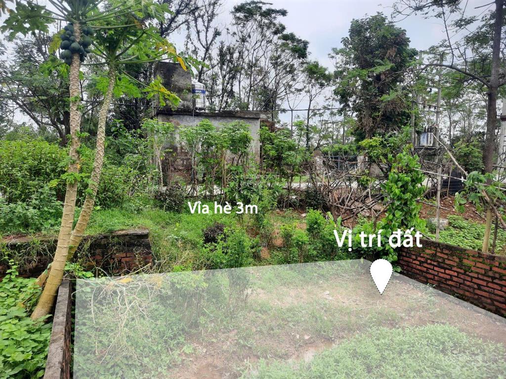 Bán gấp lô đất đẹp đường phú mỹ  biên giang, hà đông