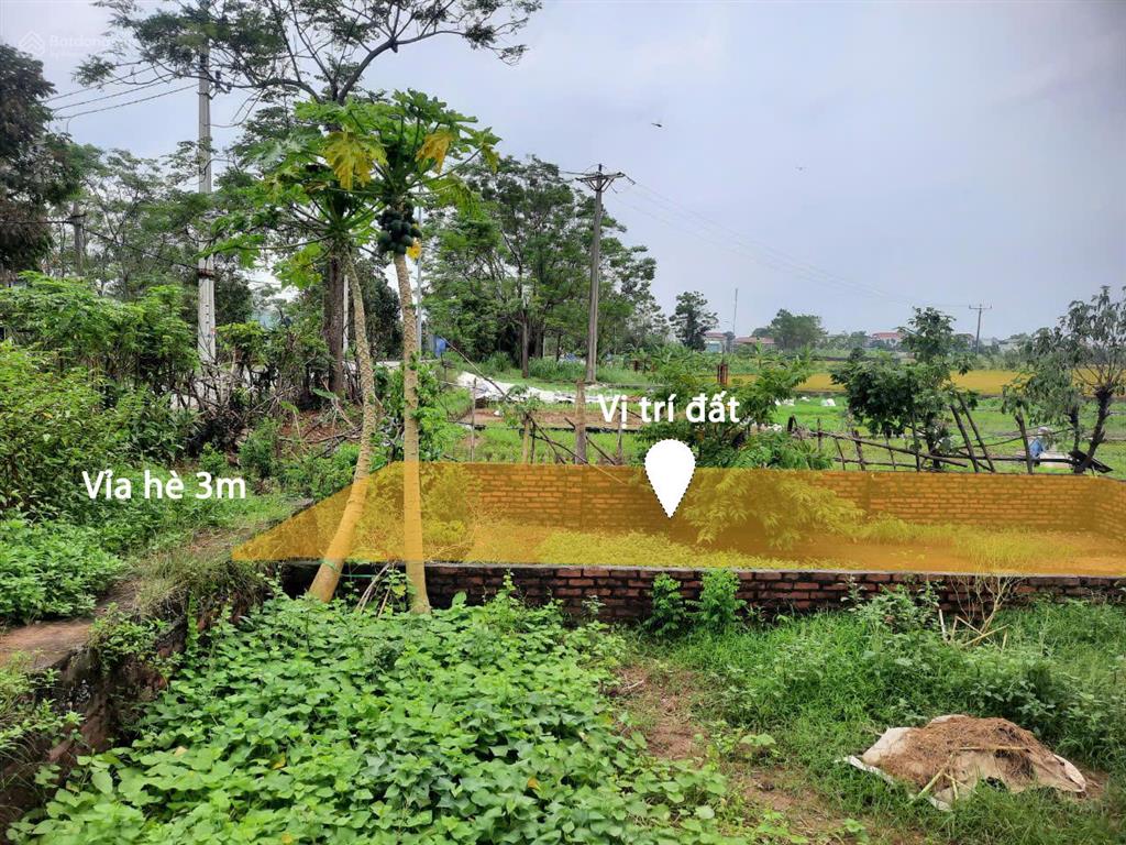 Bán gấp lô đất đẹp đường phú mỹ  biên giang, hà đông