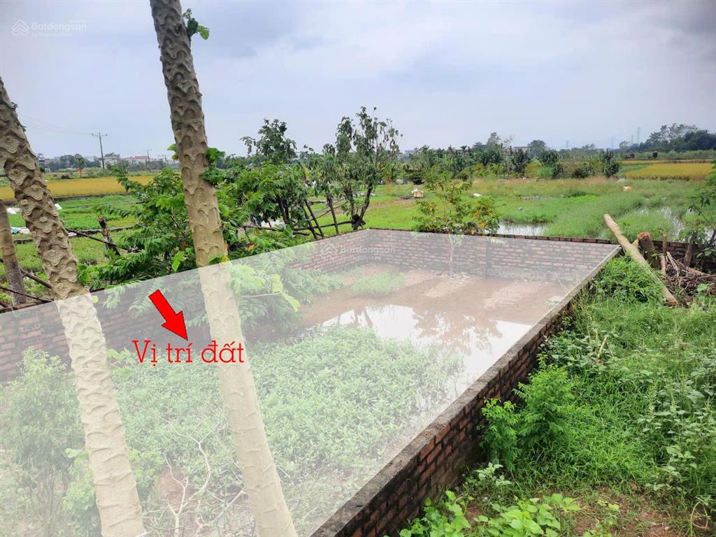 Bán gấp lô đất đẹp đường phú mỹ  biên giang, hà đông