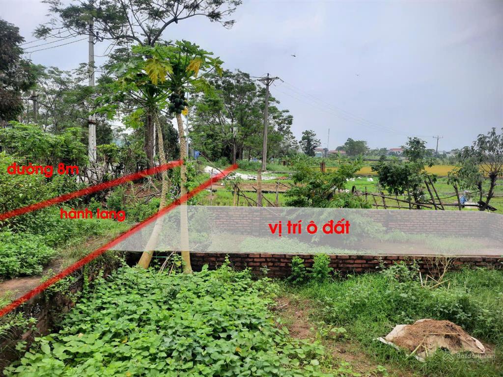 Bán gấp lô đất đẹp đường phú mỹ  biên giang, hà đông