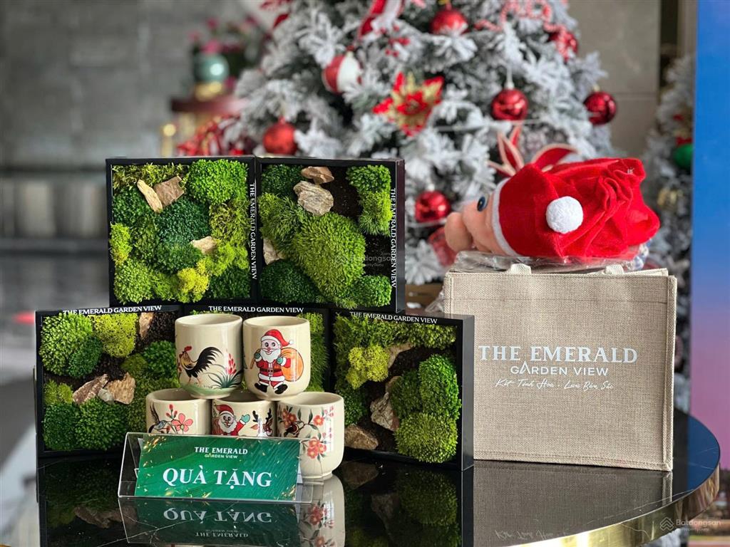 Cđt lê phong 35 triệu/m2 thanh toán 9 triệu/tháng the emerald garden view đường nguyễn chí thanh