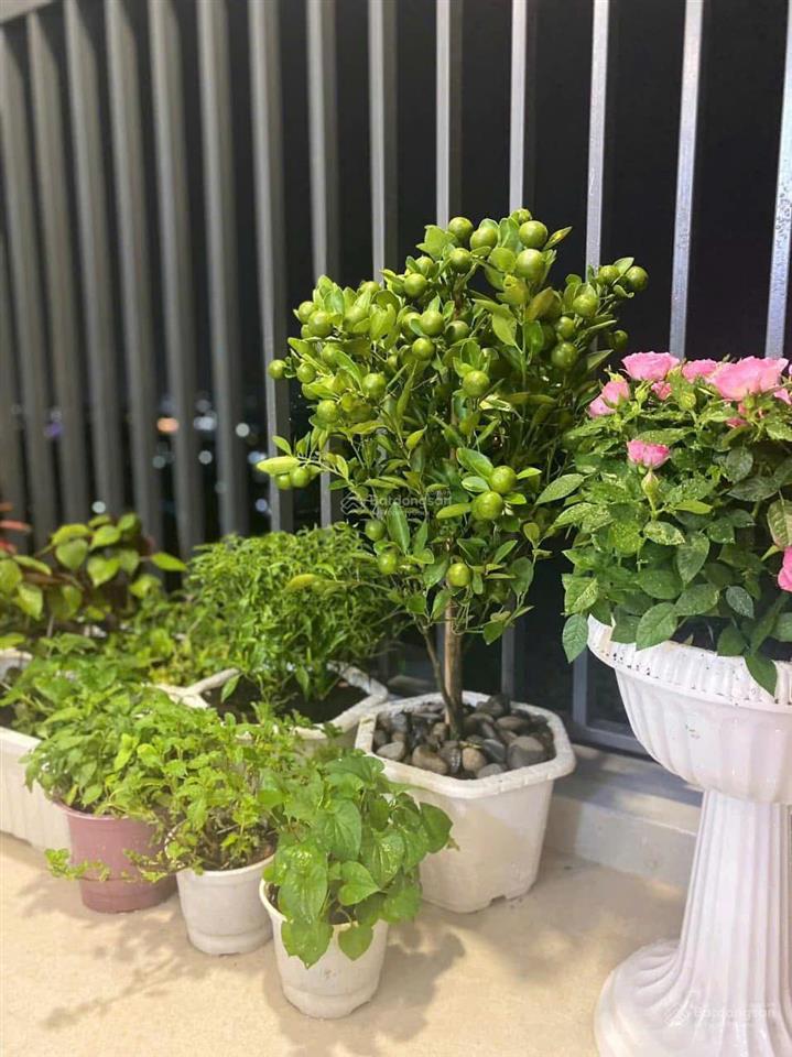 Bán căn 2 phòng ngủ 2wc the rivana 71m2 giá 3tỷ350, full nội thất xịn, view sông, xem nhà zalo em!